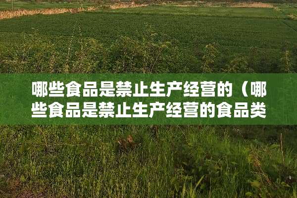 哪些食品是禁止生产经营的（哪些食品是禁止生产经营的食品类别）