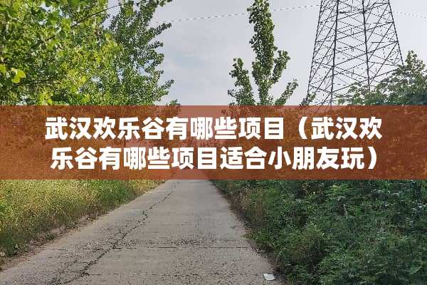 武汉欢乐谷有哪些项目（武汉欢乐谷有哪些项目适合小朋友玩）
