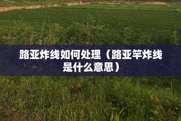 路亚炸线如何处理（路亚竿炸线是什么意思）
