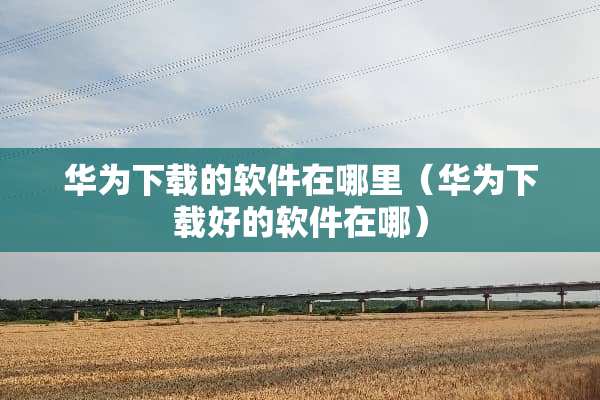 华为下载的软件在哪里（华为下载好的软件在哪）