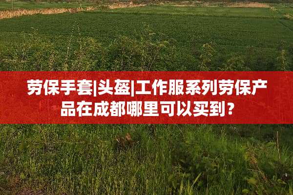 劳保手套|头盔|工作服系列劳保产品在成都哪里可以买到？