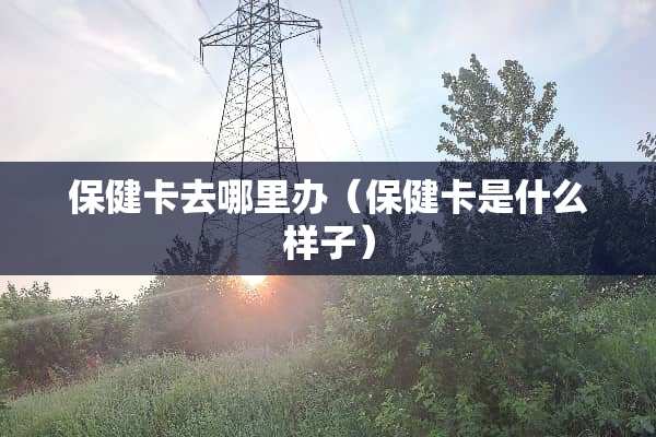 保健卡去哪里办（保健卡是什么样子）