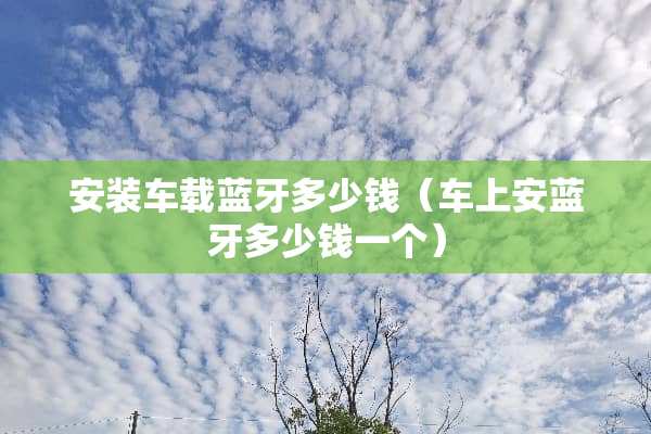 安装车载蓝牙多少钱（车上安蓝牙多少钱一个）
