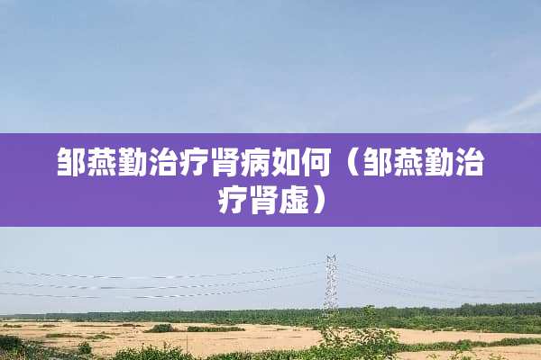 邹燕勤治疗肾病如何（邹燕勤治疗肾虚）