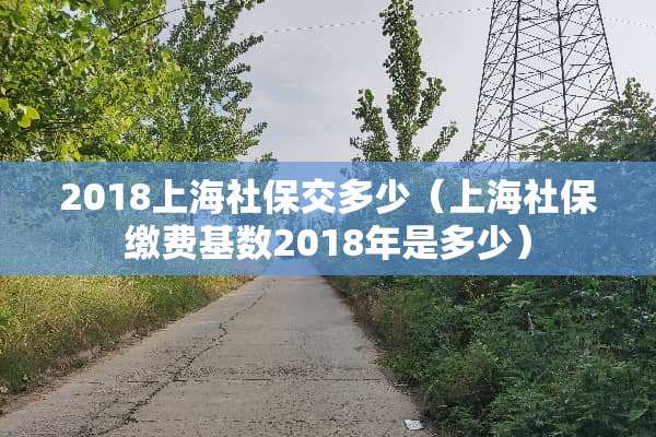 2018上海社保交多少（上海社保缴费基数2018年是多少）