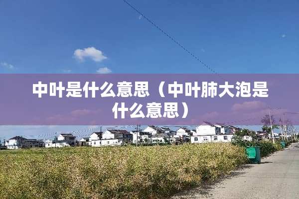 中叶是什么意思（中叶肺大泡是什么意思）