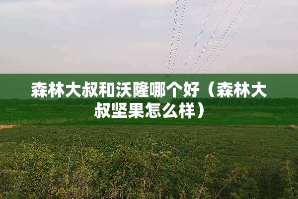 森林大叔和沃隆哪个好（森林大叔坚果怎么样）