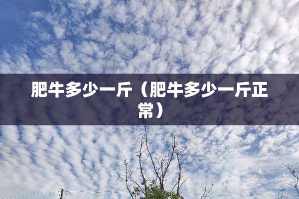 肥牛多少一斤（肥牛多少一斤正常）