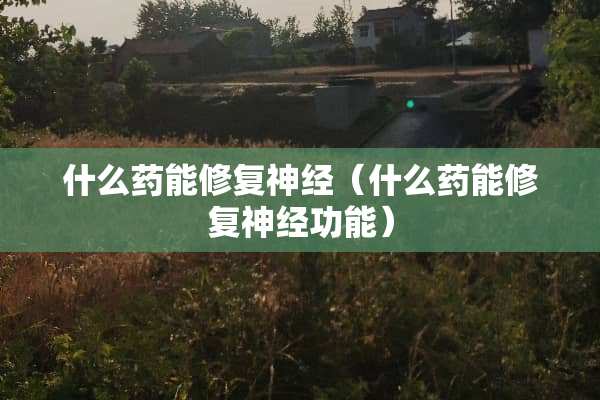 什么药能修复神经（什么药能修复神经功能）