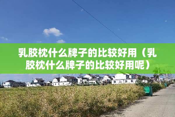 *胶枕什么牌子的比较好用（*胶枕什么牌子的比较好用呢）