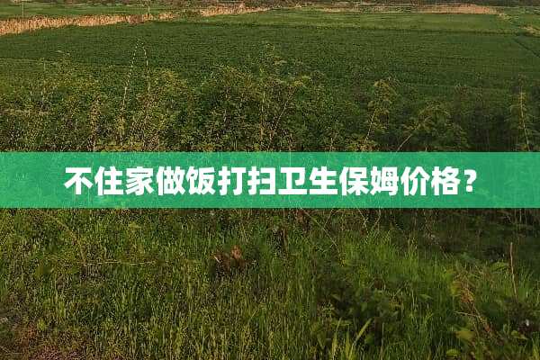 不住家做饭打扫卫生保姆价格？