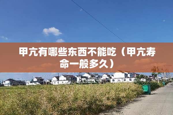 甲亢有哪些东西不能吃（甲亢寿命一般多久）