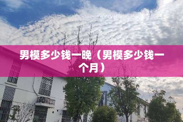 男模多少钱一晚（男模多少钱一个月）