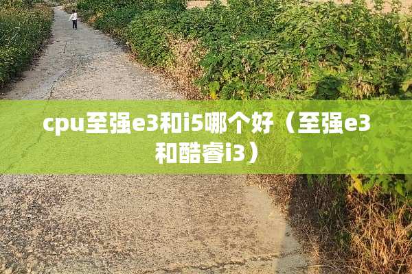 cpu至强e3和i5哪个好（至强e3和酷睿i3）