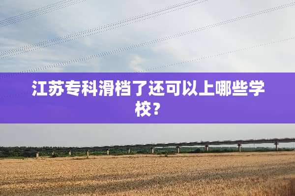 江苏专科滑档了还可以上哪些学校？