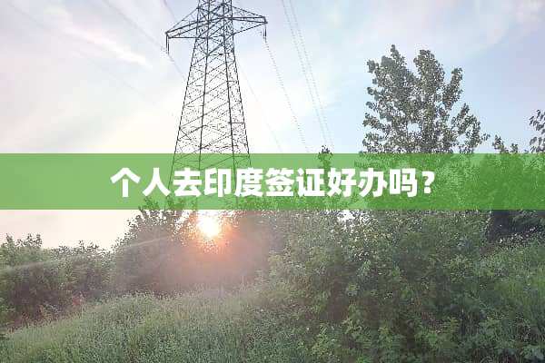 个人去印度签证好办吗？