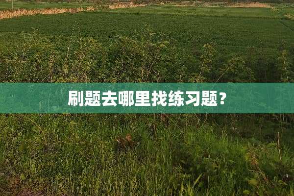 刷题去***练习题？