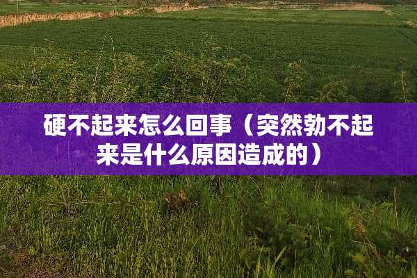 硬不起来怎么回事（突然勃不起来是什么原因造成的）