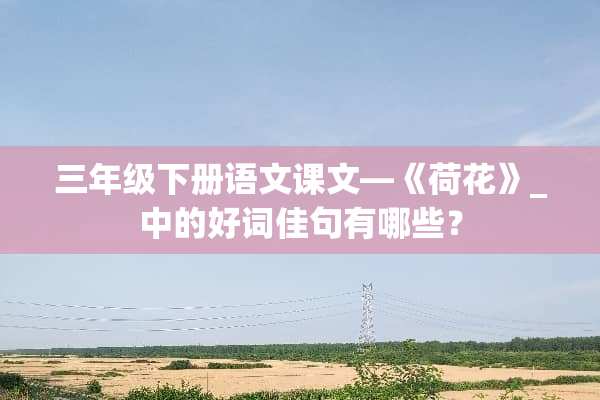 三年级下册语文课文—《荷花》_中的好词佳句有哪些？