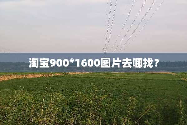 淘宝900*1600图片去哪找？