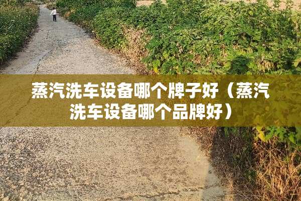 蒸汽洗车设备哪个牌子好（蒸汽洗车设备哪个品牌好）