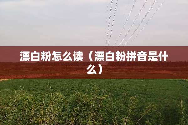 漂**怎么读（漂**拼音是什么）