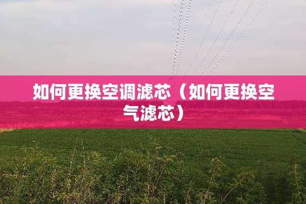如何更换空调滤芯（如何更换空气滤芯）