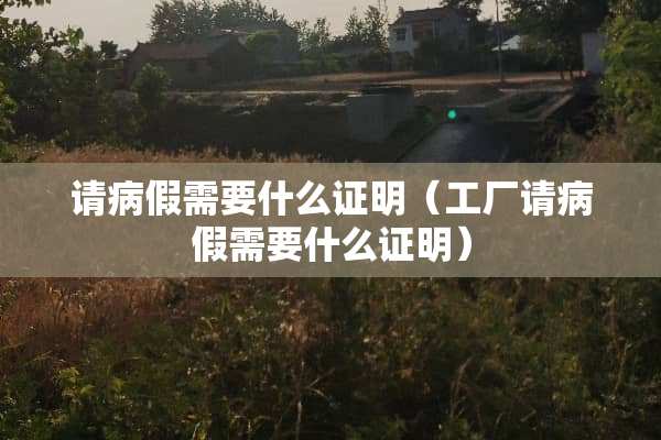 请病假需要什么证明（工厂请病假需要什么证明）
