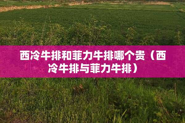 西冷牛排和菲力牛排哪个贵（西冷牛排与菲力牛排）