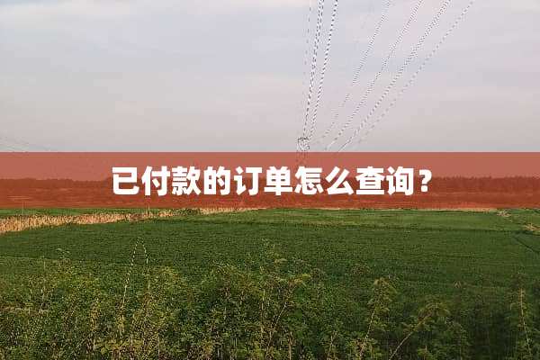 已付款的订单怎么查询？
