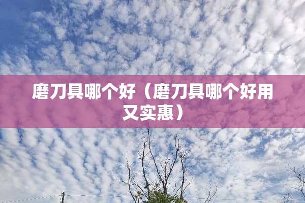 磨**哪个好（磨**哪个好用又实惠）