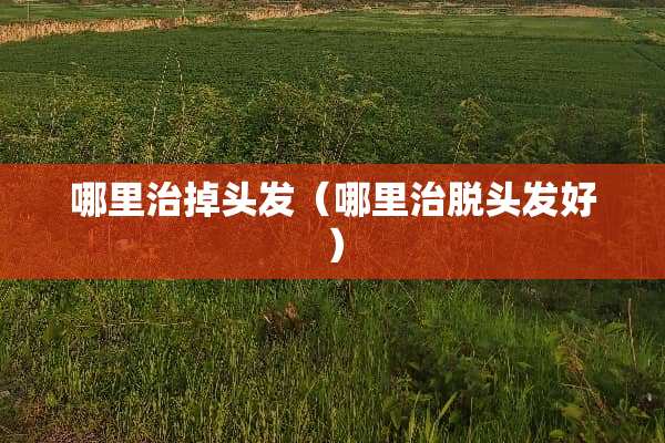 哪里治掉头发（哪里治脱头发好）