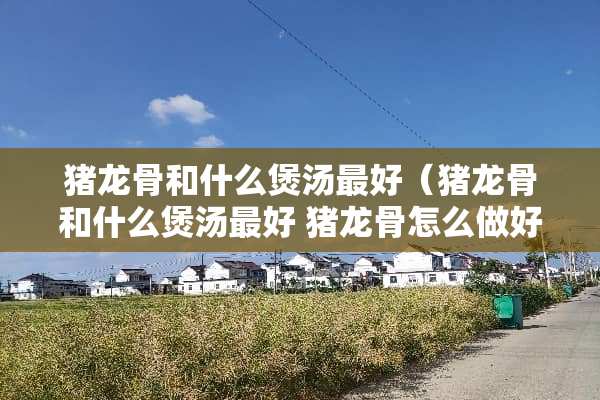 猪龙骨和什么煲汤最好（猪龙骨和什么煲汤最好 猪龙骨怎么做好吃）