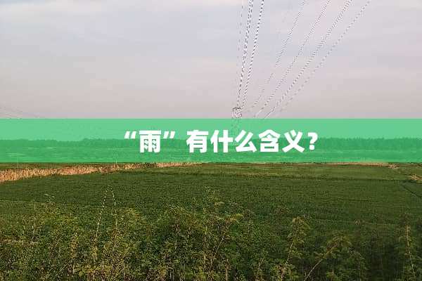 “雨”有什么含义？
