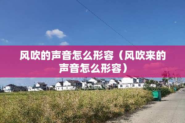 风吹的声音怎么形容（风吹来的声音怎么形容）
