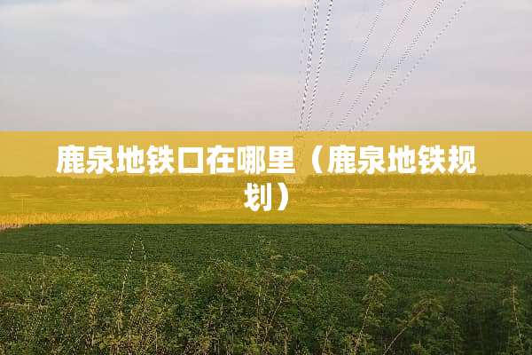鹿泉地铁口在哪里（鹿泉地铁规划）