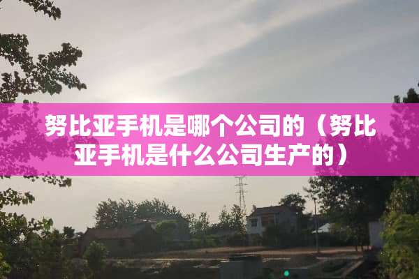 努比亚手机是哪个公司的（努比亚手机是什么公司生产的）