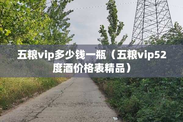 五粮vip多少钱一瓶（五粮vip52度酒价格表精品）