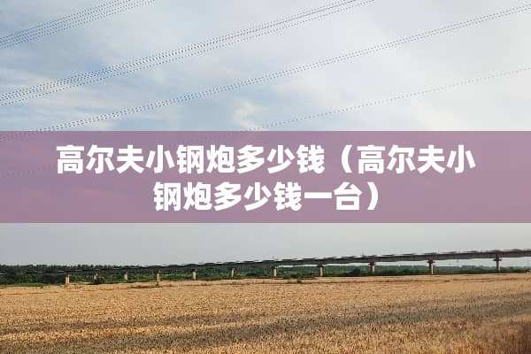 高尔夫小钢*多少钱（高尔夫小钢*多少钱一台）