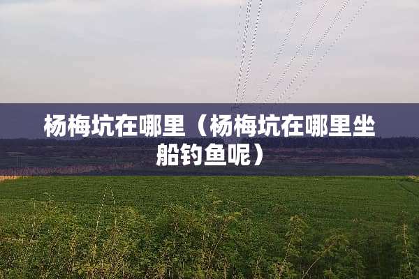 杨梅坑在哪里（杨梅坑在哪里坐船钓鱼呢）