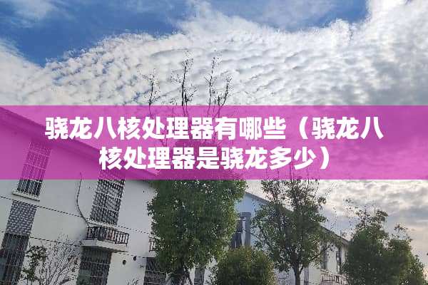 骁龙八核处理器有哪些（骁龙八核处理器是骁龙多少）