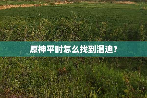 原神平时怎么找到温迪？