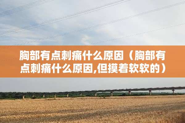 **有点刺痛什么原因（**有点刺痛什么原因,但摸着软软的）