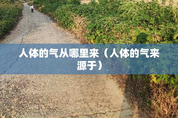 人体的气从哪里来（人体的气来源于）