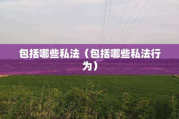 包括哪些私法（包括哪些私法行为）