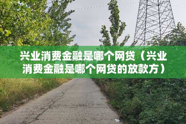 兴业消费金融是哪个**（兴业消费金融是哪个**的放款方）