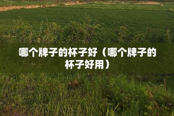 哪个牌子的杯子好（哪个牌子的杯子好用）