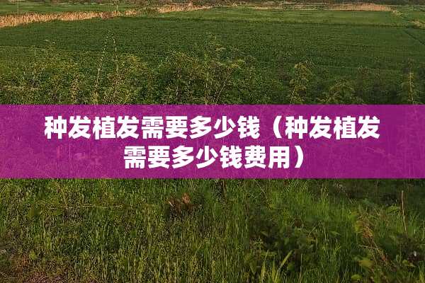 种发植发需要多少钱（种发植发需要多少钱费用）