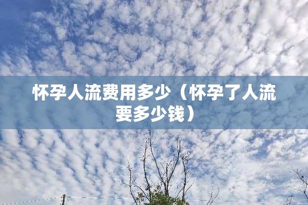 怀孕人流费用多少（怀孕了人流要多少钱）