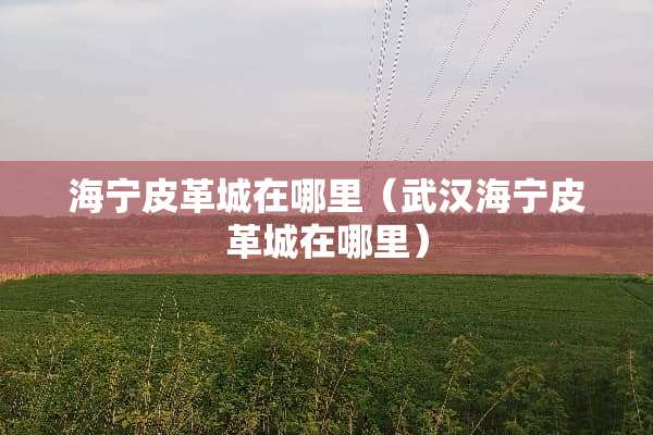 海宁皮革城在哪里（武汉海宁皮革城在哪里）